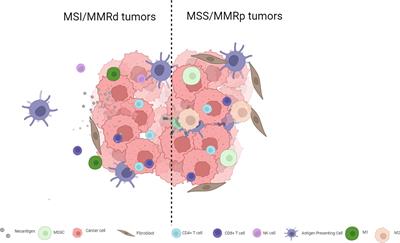 Advances in immune checkpoint inhibitor combination strategies for microsatellite stable colorectal cancer